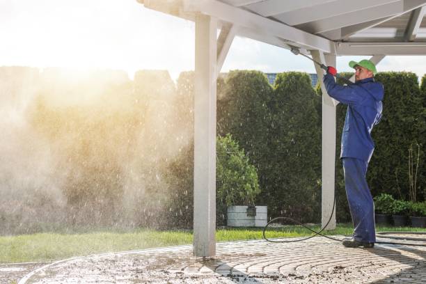 Best Soft Washing  in High Point, FL
